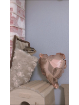 CLUBドレミ - ハルの女の子ブログ画像