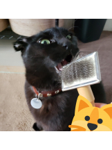 CLUBドレミ - ハルの女の子ブログ画像