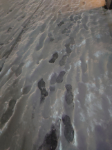 CLUBドレミ - タマキの女の子ブログ画像