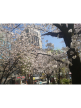 CLUBドレミ - タマキの女の子ブログ画像