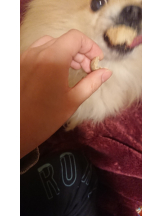 CLUBドレミ - クミの女の子ブログ画像