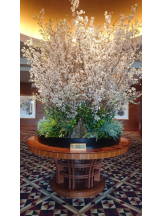 CLUBドレミ - クミの女の子ブログ画像