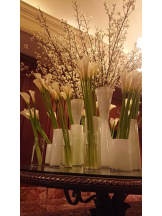 CLUBドレミ - クミの女の子ブログ画像