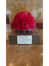 CLUBドレミ - クミの女の子ブログ画像