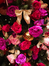 CLUBドレミ - クミの女の子ブログ画像