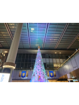 CLUBドレミ - クミの女の子ブログ画像