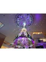 CLUBドレミ - クミの女の子ブログ画像