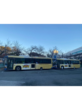 CLUBドレミ - カレンの女の子ブログ画像