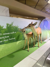 CLUBドレミ - カレンの女の子ブログ画像