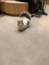 CLUBドレミ - あいさの女の子ブログ画像