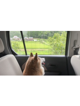 CLUBドレミ - あいさの女の子ブログ画像