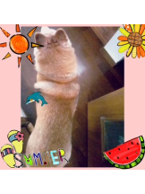 CLUBドレミ - あいさの女の子ブログ画像