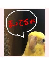 CLUBドレミ - あいさの女の子ブログ画像