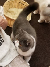 CLUBドレミ - みさの女の子ブログ画像