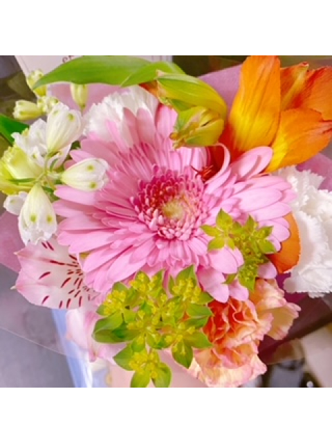 女の子ブログ添付画像1