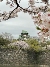 エロチカセブン - NO.８　えりかの女の子ブログ画像