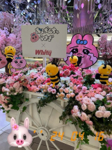 エロチカセブン - NO.８　えりかの女の子ブログ画像