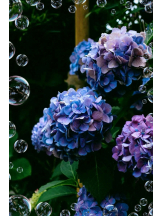 エロチカセブン - NO.８　えりかの女の子ブログ画像