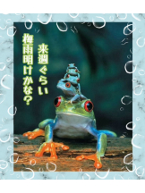 エロチカセブン - NO.８　えりかの女の子ブログ画像