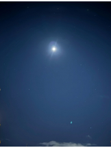 エロチカセブン - NO.８　えりかの女の子ブログ画像