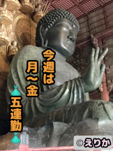 エロチカセブン - NO.８　えりかの女の子ブログ画像