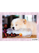 エロチカセブン - NO.８　えりかの女の子ブログ画像