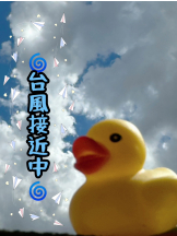 エロチカセブン - NO.８　えりかの女の子ブログ画像