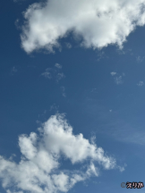 エロチカセブン - NO.８　えりかの女の子ブログ画像