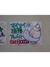 エロチカセブン - NO.８　えりかの女の子ブログ画像