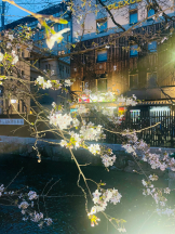 CLUBドレミ - かづきの女の子ブログ画像