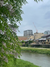 CLUBドレミ - かづきの女の子ブログ画像