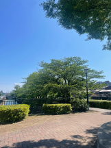 CLUBドレミ - かづきの女の子ブログ画像