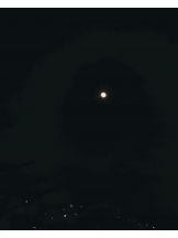 CLUBドレミ - かづきの女の子ブログ画像