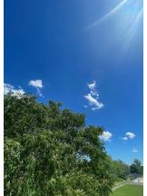 CLUBドレミ - かづきの女の子ブログ画像