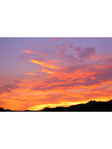 club Lily - れんかの女の子ブログ画像