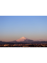 club Lily - れんかの女の子ブログ画像