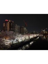 club Lily - れんかの女の子ブログ画像