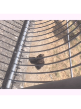 梅田堂山女学院 - まう【梅田堂山女学院】の女の子ブログ画像