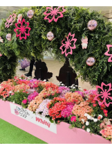 エロチカセブン - NO.３３　まりの女の子ブログ画像