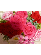 エロチカセブン - NO.３３　まりの女の子ブログ画像