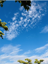 エロチカセブン - NO.３３　まりの女の子ブログ画像