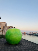 エロチカセブン - NO.３３　まりの女の子ブログ画像