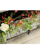 エロチカセブン - NO.３３　まりの女の子ブログ画像