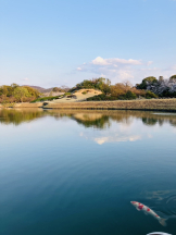 エロチカセブン - NO.３３　まりの女の子ブログ画像