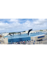 エロチカセブン - NO.３３　まりの女の子ブログ画像