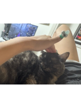 あるまぎ！ - りりちよの女の子ブログ画像