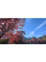 あるまぎ！ - めぐの女の子ブログ画像