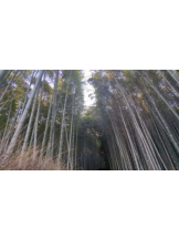 あるまぎ！ - めぐの女の子ブログ画像