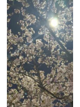 あるまぎ！ - めぐの女の子ブログ画像