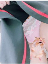 あるまぎ！ - こはくの女の子ブログ画像
